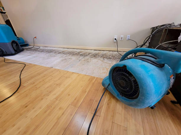 Professional Flood Damage Cleanup technician working in Oakhurst, TX
